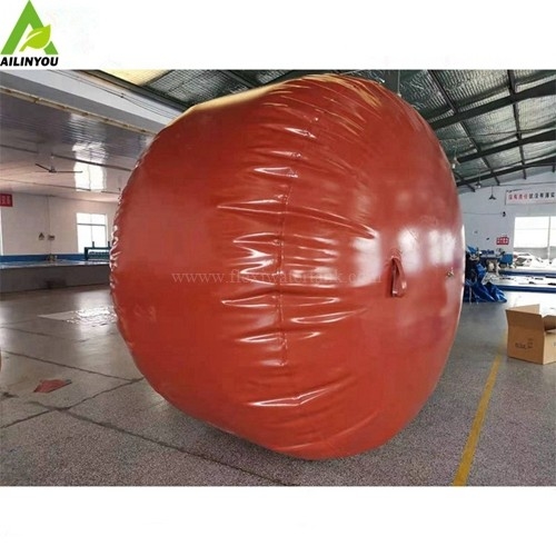 China Factory Durable Portable Biogas Storage Bag Portable Biogas Plant for Home
